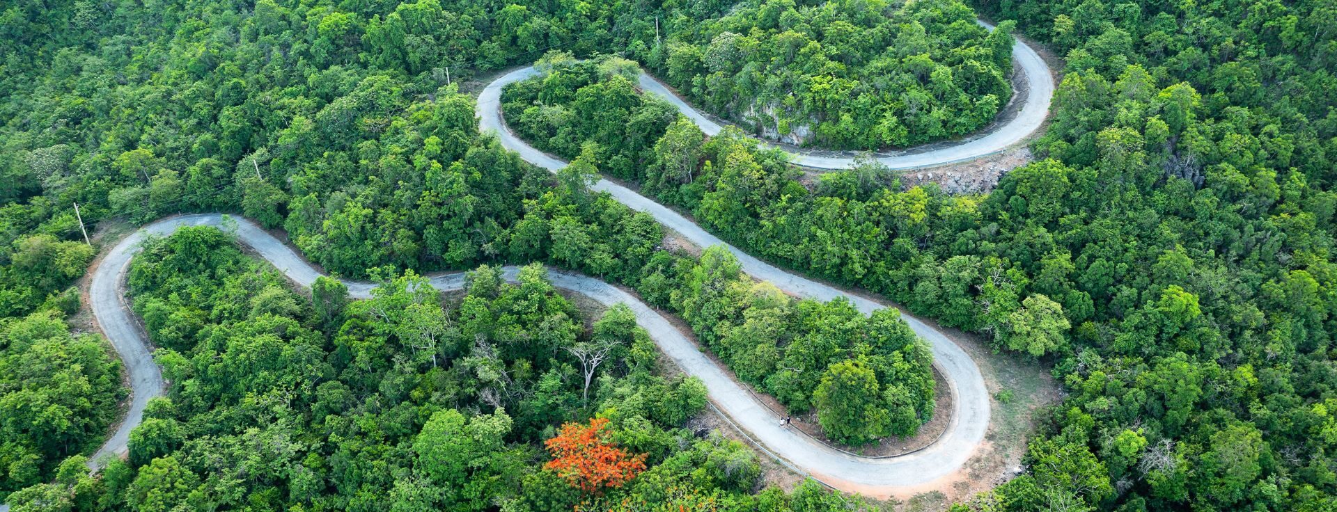 Gallbladder channel kinesiology